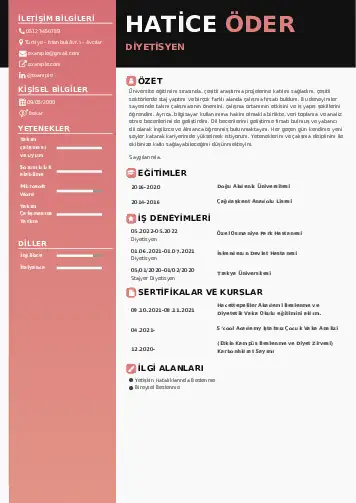 Beslenme Uzmanı Diyetisyen CV Örnekleri cv indir